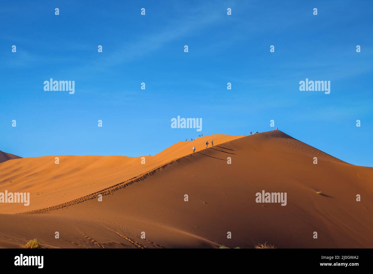 Des peintures grandioses de dunes de sable Banque D'Images