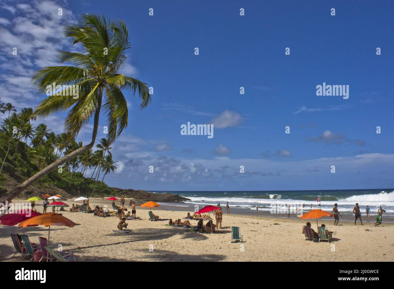 Itacare, vue sur la plage tropicale, Bahia, Brésil, Amérique du Sud Banque D'Images