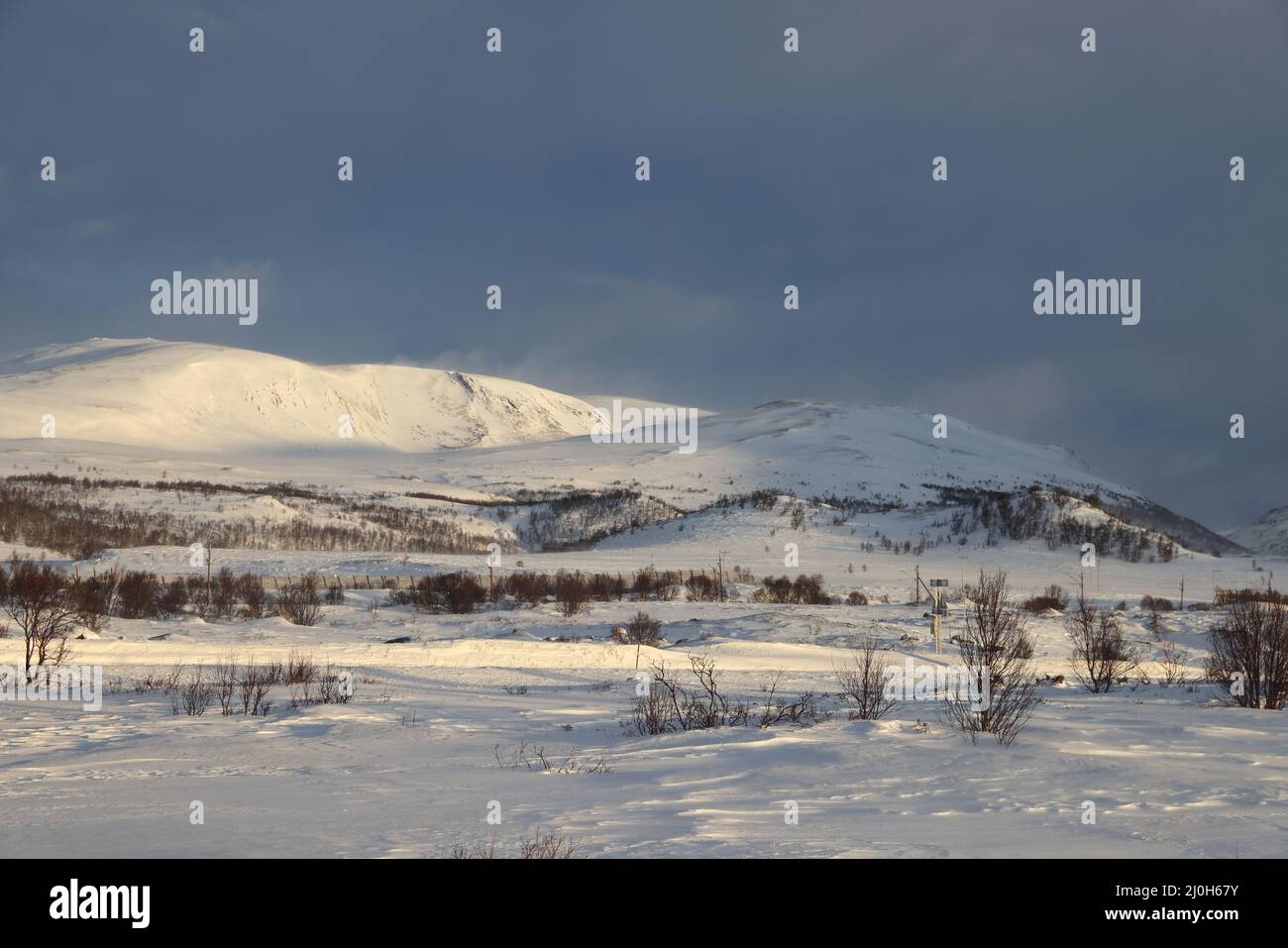 Hiver dans le parc national de Dovrefjell , Norvège Banque D'Images