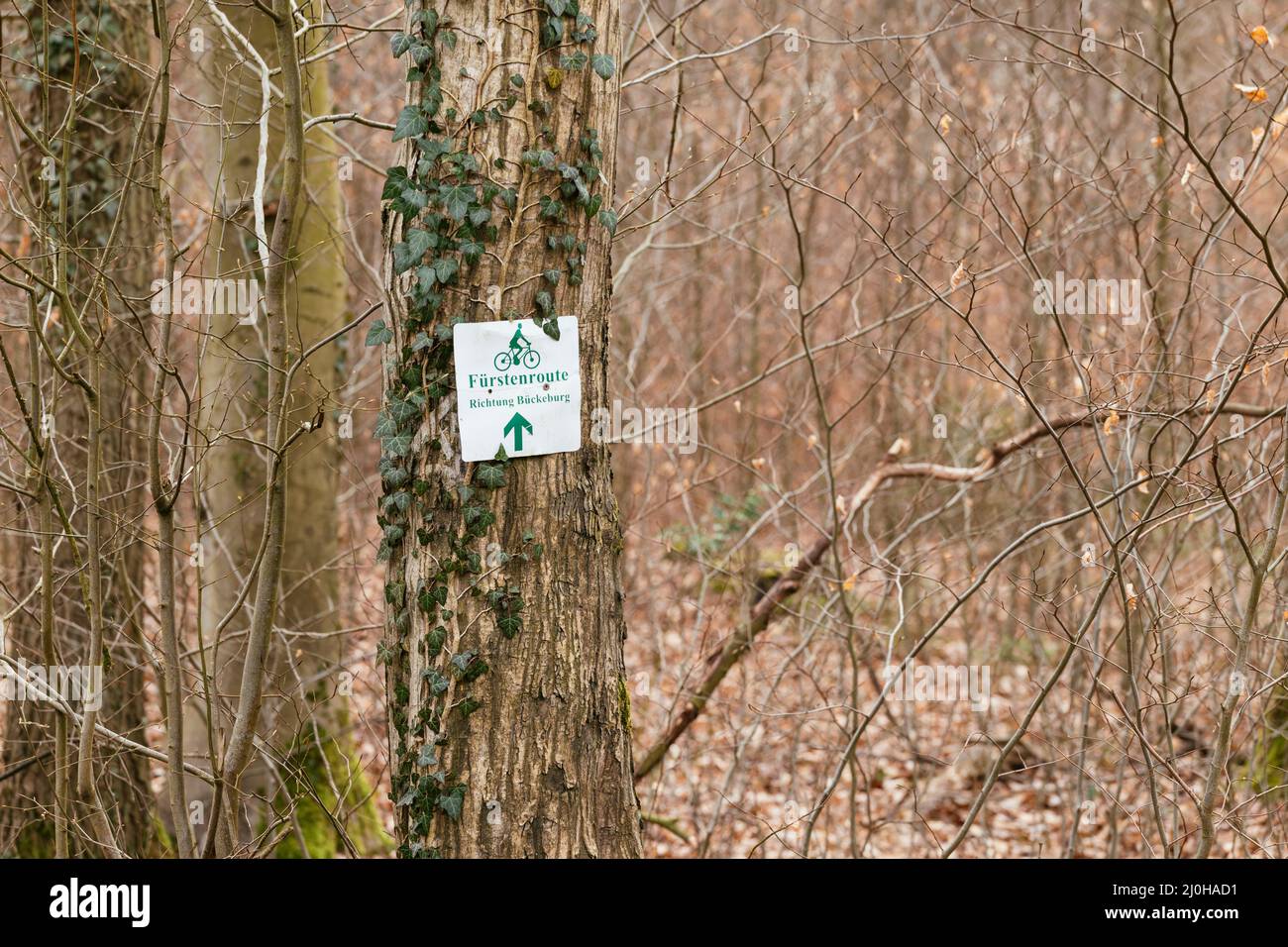 Suivez les panneaux indiquant la route à vélo Fürstenroute dans la forêt de Schaumburger en direction de Bückeburg. Banque D'Images