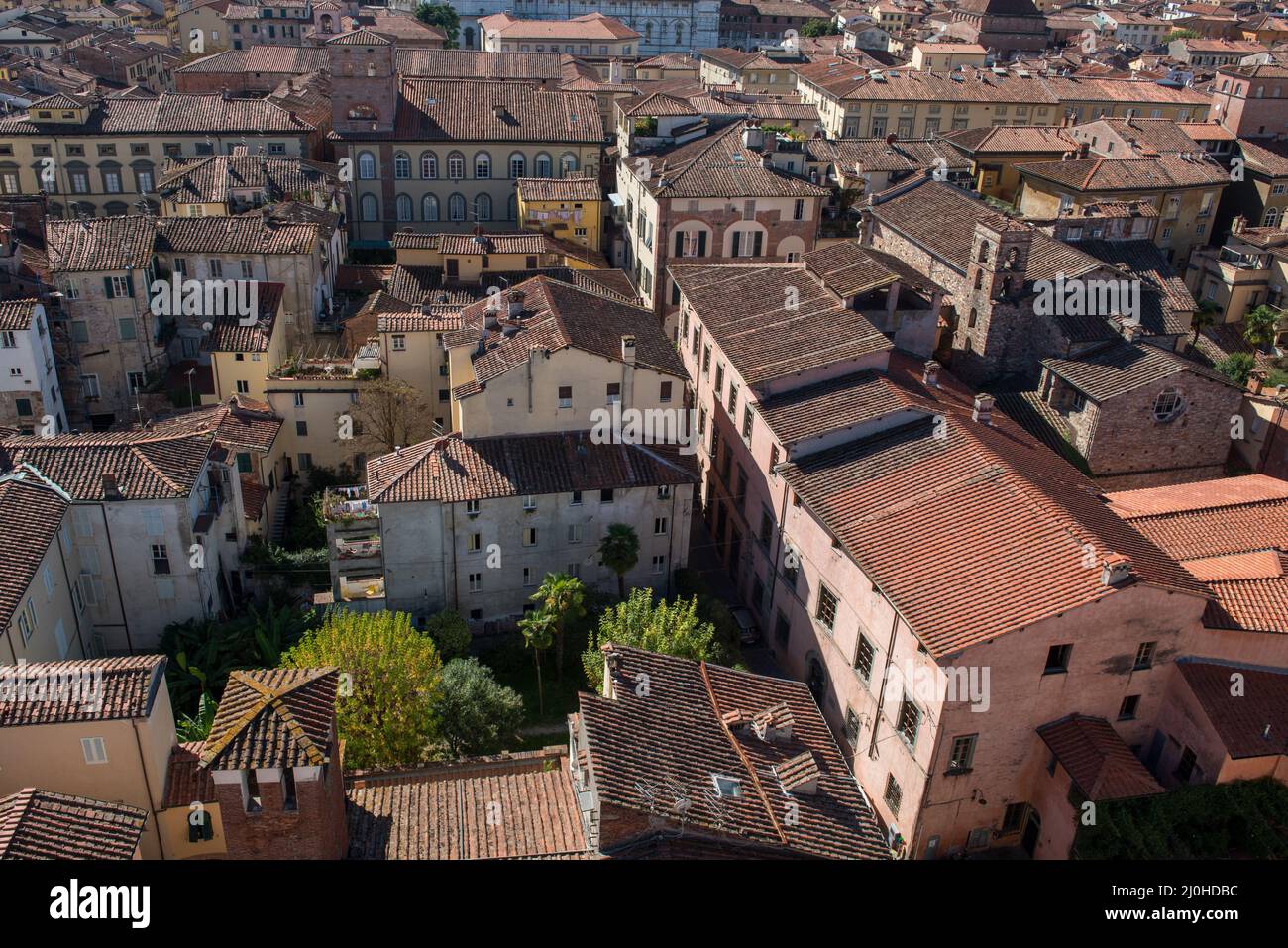 Paysage urbain avec les toits de la ville de Lucques depuis la tour Torre Ginigi. Toscane centre de l'Italie Banque D'Images
