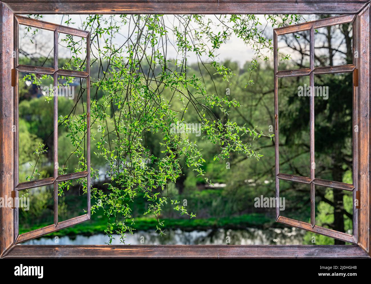 Paysage de la nature avec vue par une fenêtre avec des rideaux Banque D'Images