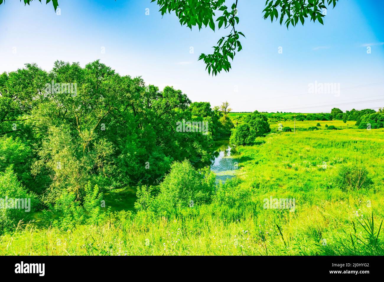 Paysage de forêt de rivière Banque D'Images