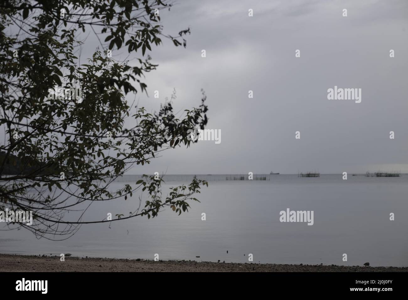 Branches d'arbre près d'un lac sombre sous un ciel sombre Banque D'Images