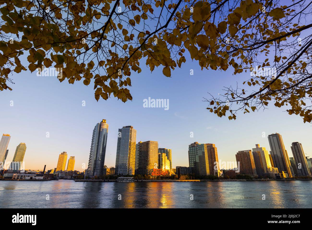 La lumière du coucher du soleil illumine la rangée des immeubles résidentiels de luxe en hauteur de long Island City au-delà de l'East River, derrière le TR de couleur feuille automnale Banque D'Images