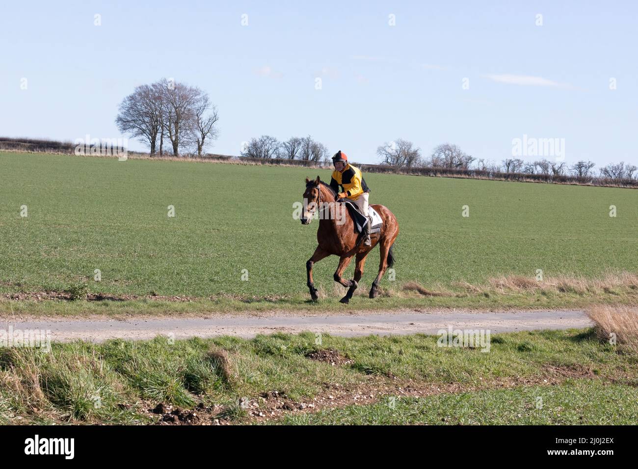 2022 Kiplingcotes Derby Banque D'Images