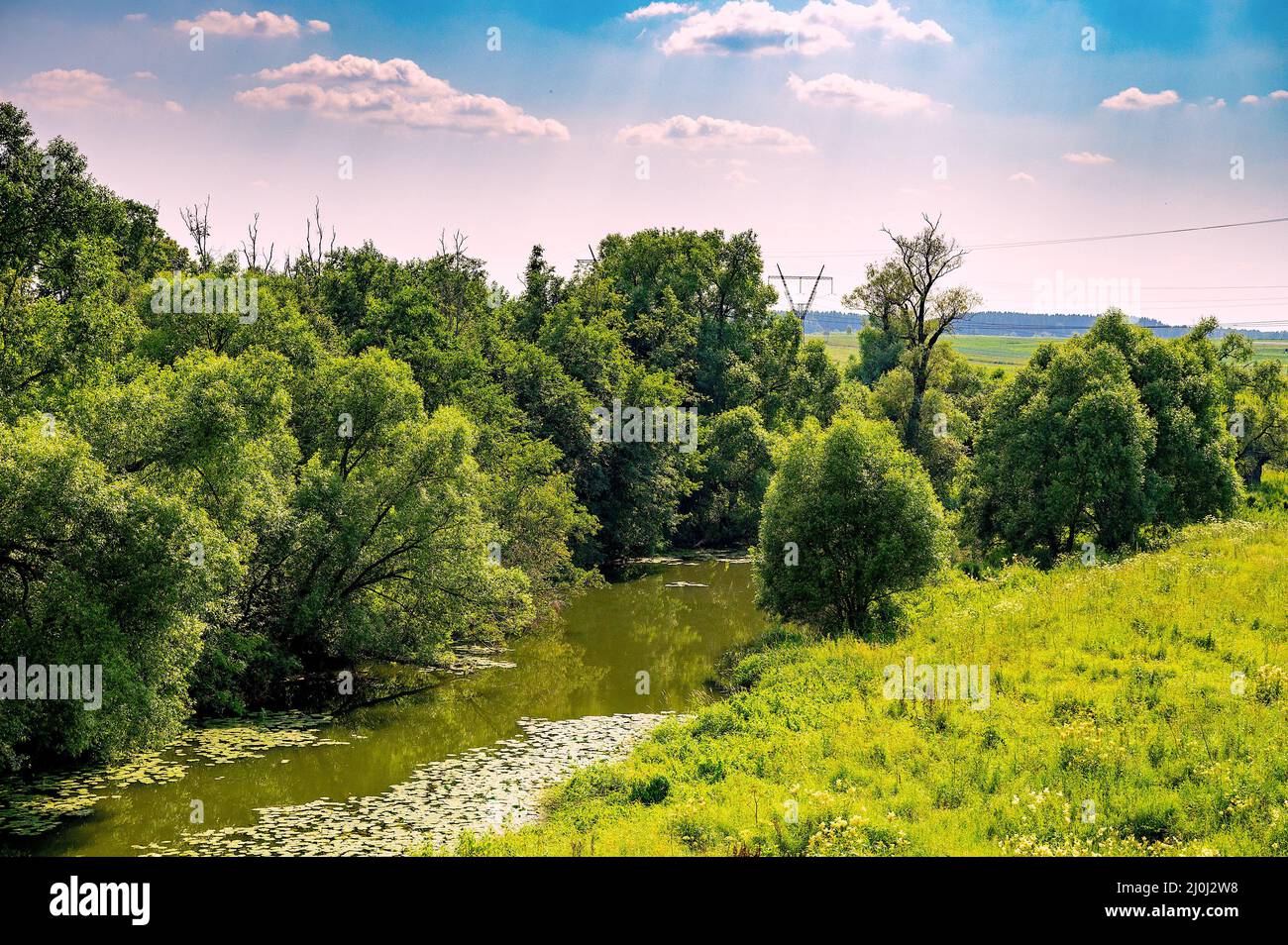 Paysage de forêt de rivière Banque D'Images