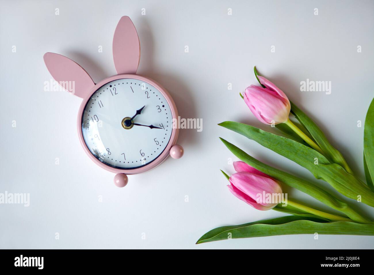 réveil rose oreilles de lapin avec tulipes. Carte de Pâques. Fleurs offertes. Vue de dessus de l'espace de copie de la mise à plat Banque D'Images