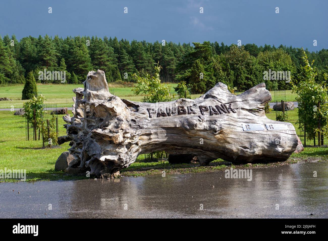 Le parc Panga Cliff, dans le nord de l'Estonie, sur l'île Saarema Banque D'Images