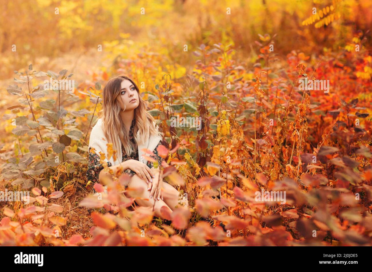 Belle jeune femme blonde en robe assis avec un look pensif dans l'herbe haute dans la forêt d'automne Banque D'Images