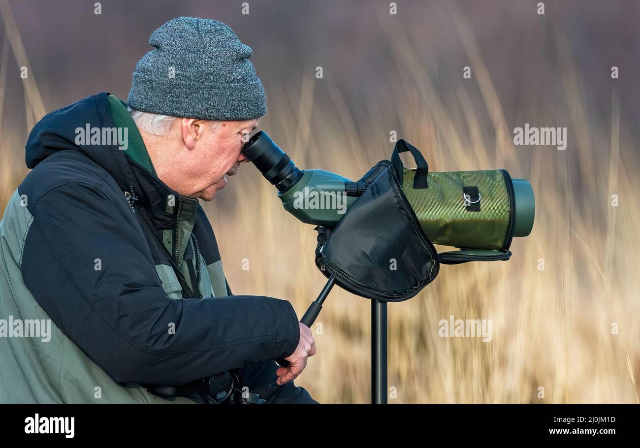 Détermination de la portée des oiseaux âgés pour les arrivées au début du printemps Banque D'Images