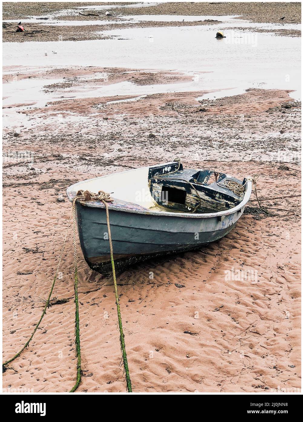 Vue sur le bateau coincé sur la rivière Teign à Shaldon à marée basse Banque D'Images