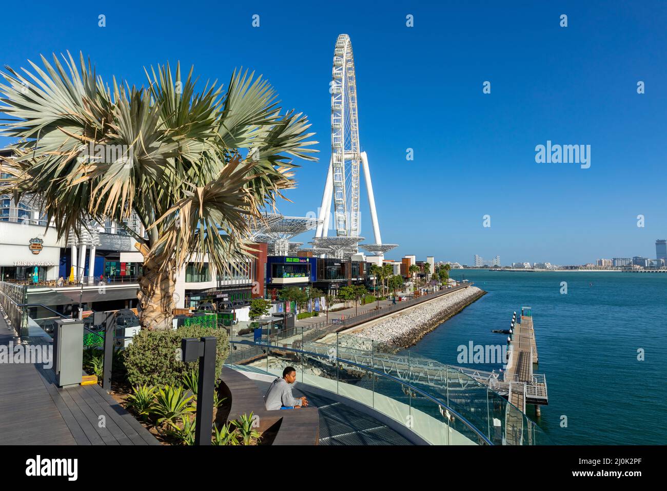 Dubai Eye ou Al Ain, Bluewaters Island. Émirats arabes Unis. Moyen-Orient. Banque D'Images