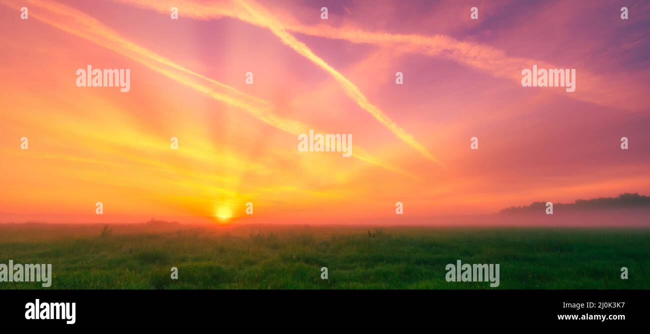 Rayon de soleil à travers l'arbre Banque D'Images