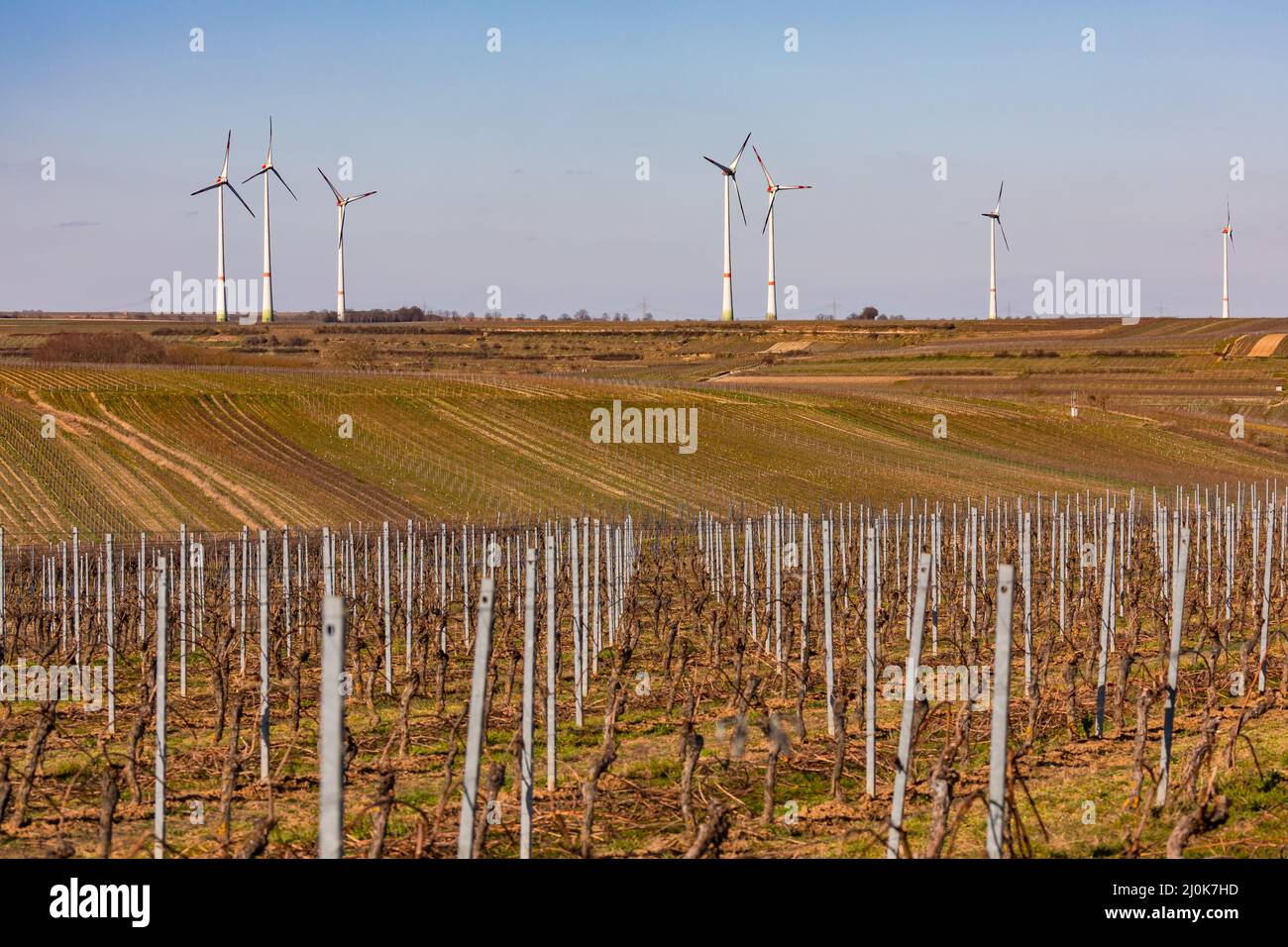En Rhénanie-Palatinat, les vignes et les éoliennes partagent le paysage, l'Allemagne Banque D'Images
