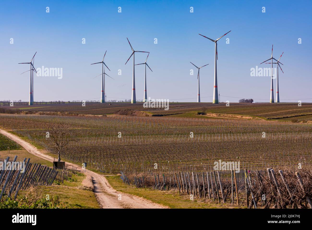Plusieurs éoliennes devant des vignes dans un paysage allemand Banque D'Images