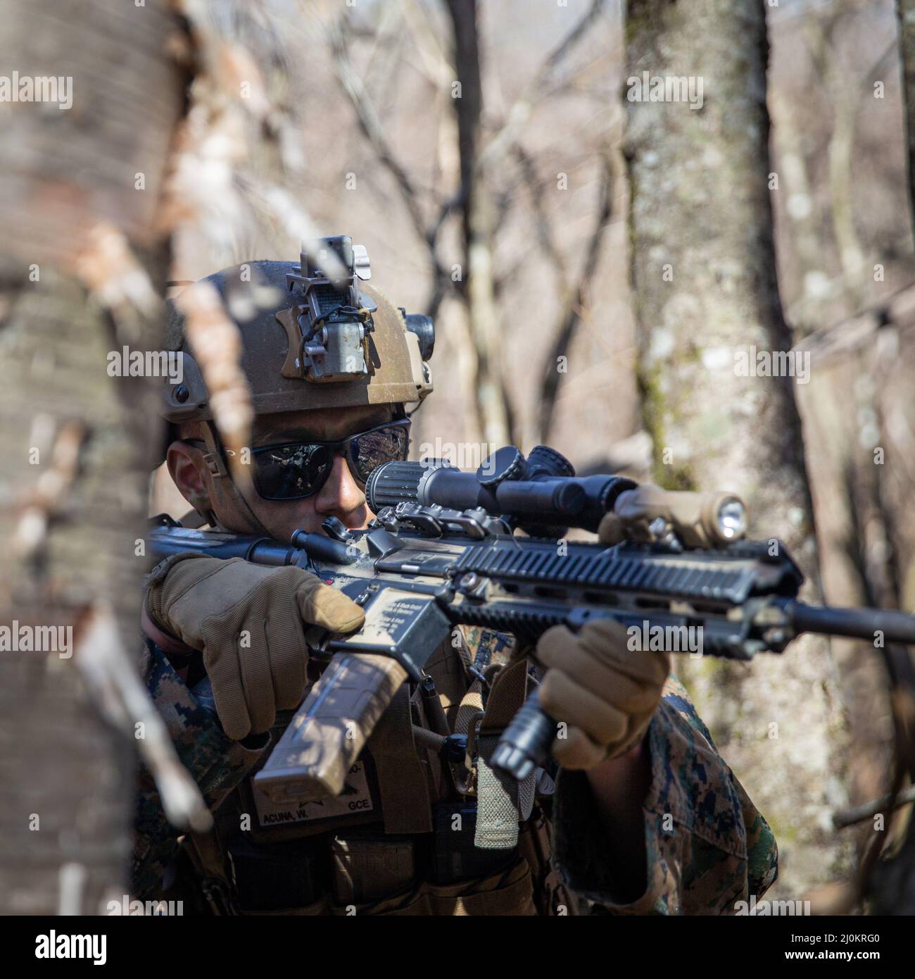 Une marine américaine avec Bataillon Landing Team 1/5, 31st Marine Expeditionary, poste la sécurité lors d'un exercice d'entraînement en raid hélicoptère au centre d'entraînement d'armes combinées Camp Fuji, Japon, 15 mars 2022. L'exercice de formation a été mené pour acquérir des compétences en matière de saisie et de défense rapides des terrains clés. Exercice de défense maritime la Brigade de déploiement rapide amphibie est un exercice bilatéral visant à accroître l'interopérabilité et à renforcer les liens entre les forces américaines et japonaises pour la défense du Japon. (É.-U. Photo du corps marin par Cpl. Malik Lewis) Banque D'Images