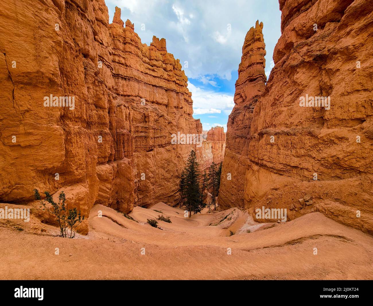 Bryce Canyon National Park Wall Street section du sentier de randonnée Peekaboo Banque D'Images