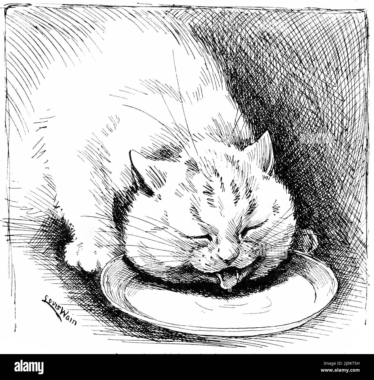 Illustration d'un chat gros et effroné qui boit dans une soucoupe, vers 1890 Banque D'Images
