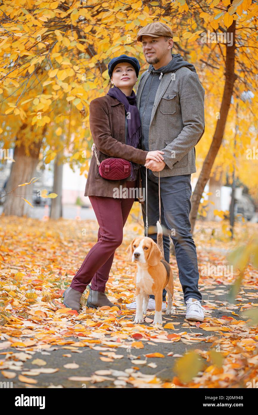 Paire élégante d'environ 40 ans lors d'une promenade dans le parc d'automne avec leur chien Bigley. Ils sont en marche le cooque dans le Morni d'automne Banque D'Images