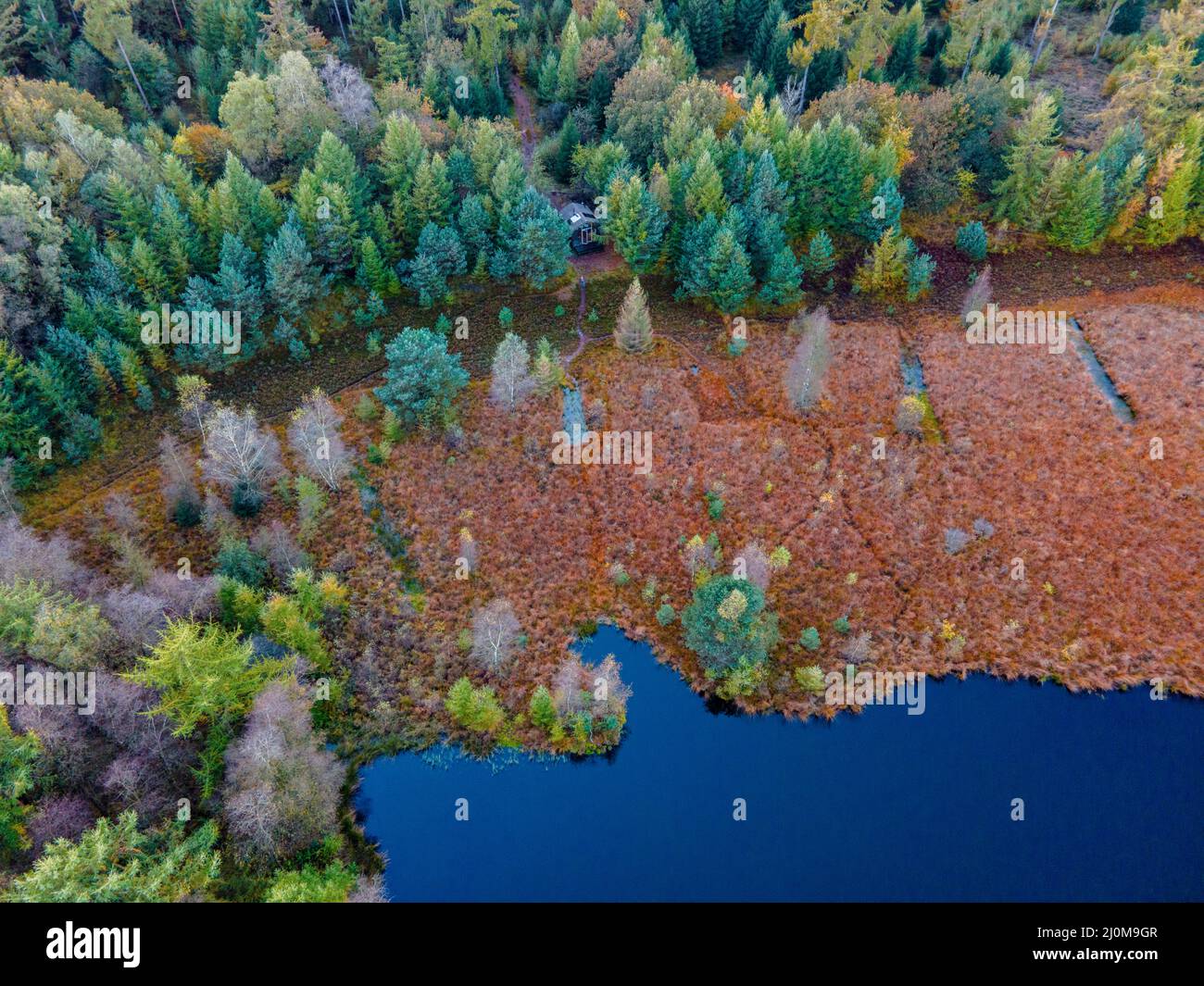 Couleurs d'automne avec des arbres rouges orangés en octobre dans le parc national Drentsche AA, arbres d'automne colorés aux pays-Bas Drenthe d Banque D'Images