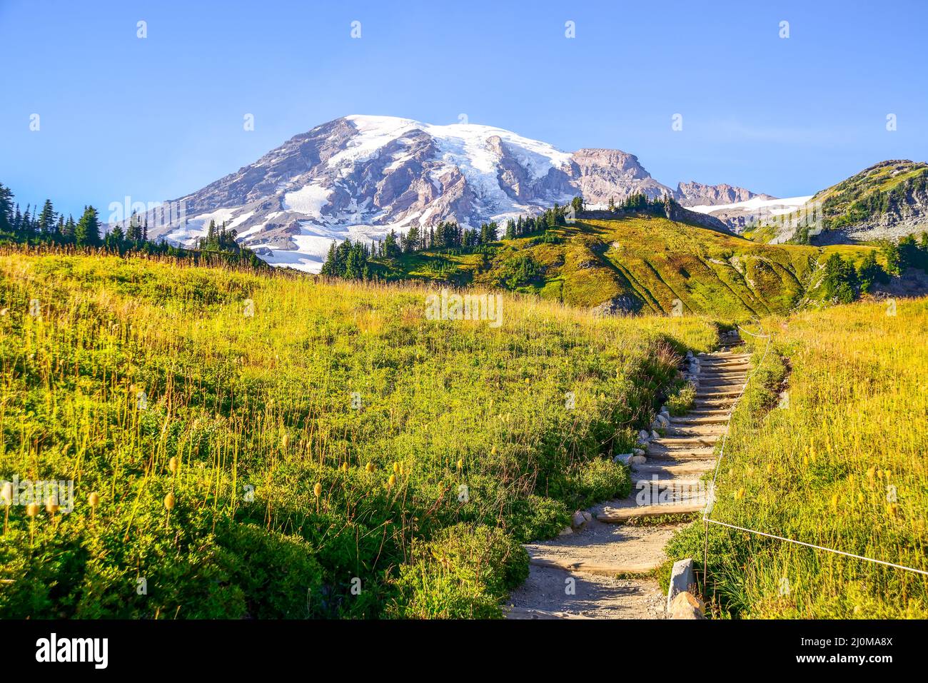 Mt Rainier National Park, Washington, USA Banque D'Images