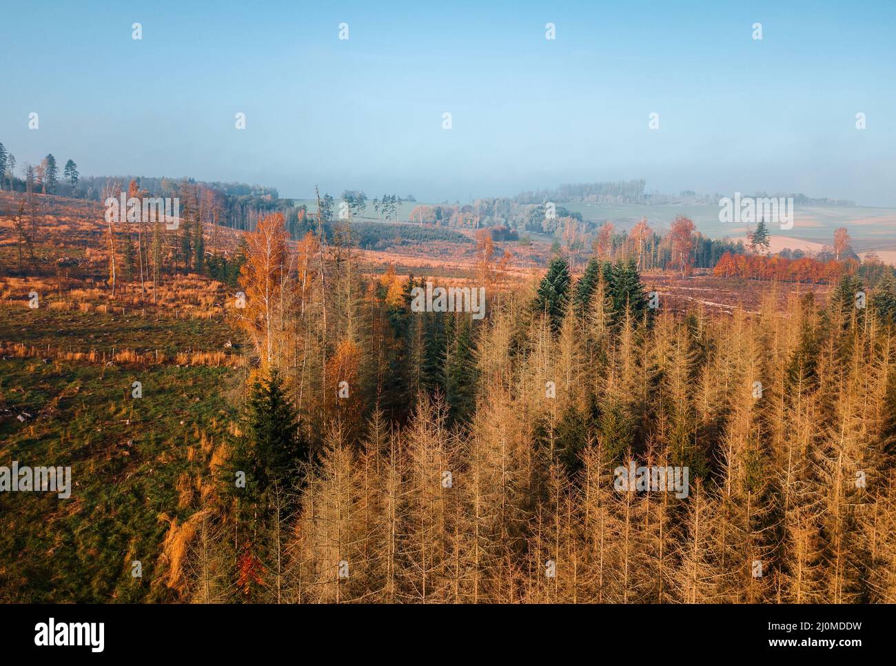 Vue aérienne de la campagne d'automne, paysage d'automne traditionnel en europe centrale Banque D'Images