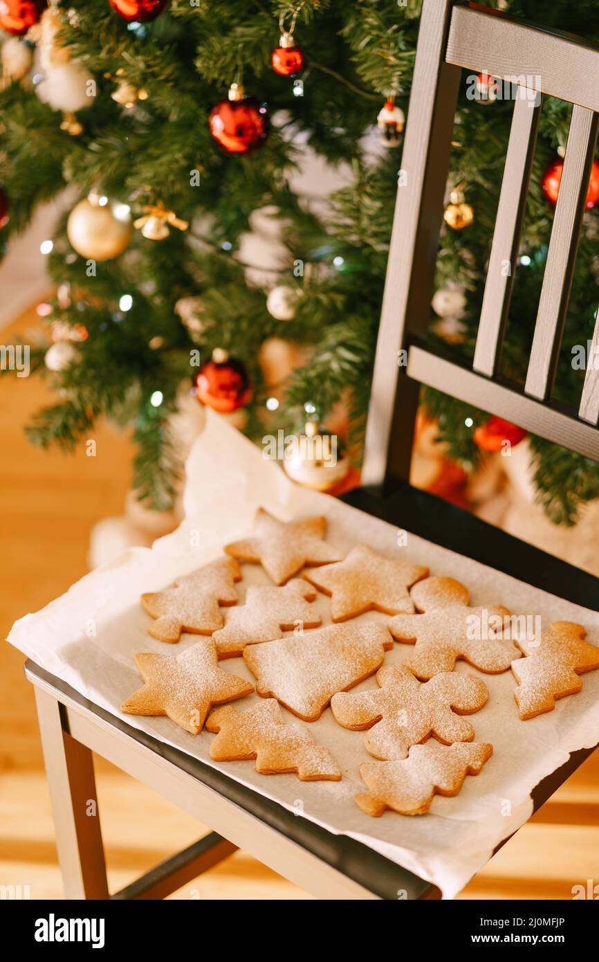 Un plateau avec un ensemble de biscuits cuits au pain d'épice de différentes formes sur une chaise, sur le fond d'un décor d'arbre de Noël Banque D'Images