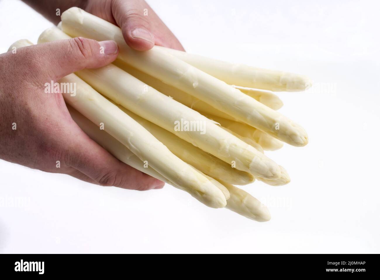 Asperges blanches fraîches offertes comme gros plan dans les mains d'un homme – couvertes sur fond blanc Banque D'Images