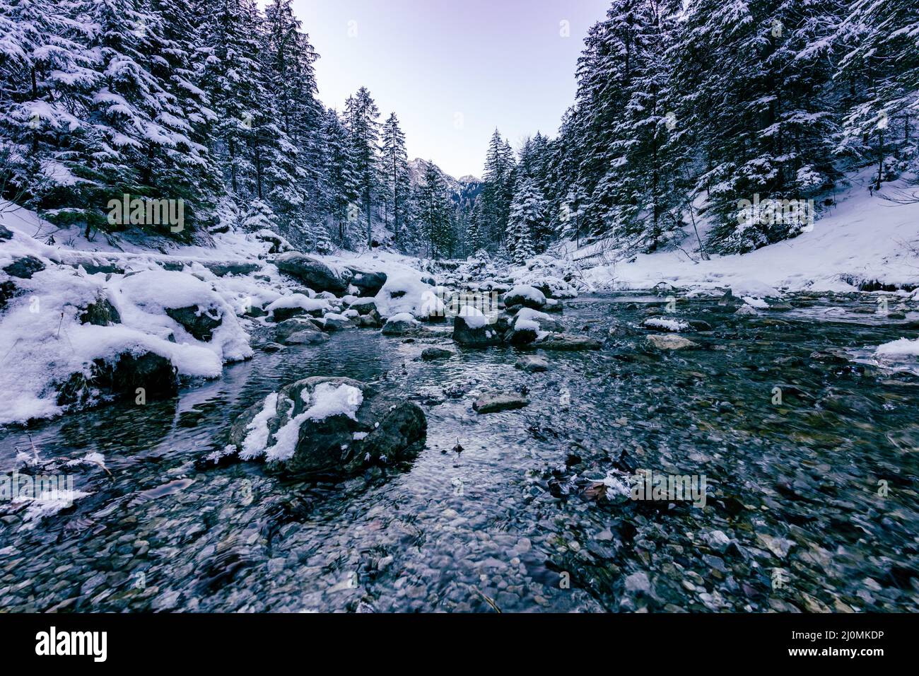 Tatra mountians en hiver. Vue sur les sommets enneigés blancs, les montagnes hivernales gelées. Kasprowy Wierch, haute Tatra, Pologne, Europe. Banque D'Images