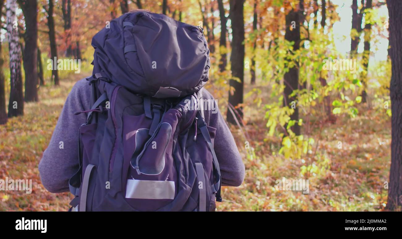 Jeunes promenades touristiques avec sac à dos dans la forêt d'automne le jour ensoleillé. Le type caucasien va sur la route avec les feuilles, genre d'abrasio Banque D'Images