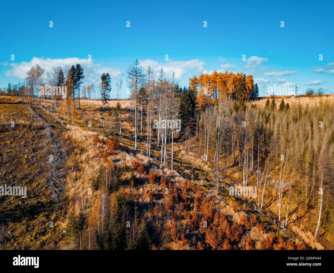 Vue aérienne de la campagne d'automne, paysage d'automne traditionnel en Europe centrale Banque D'Images