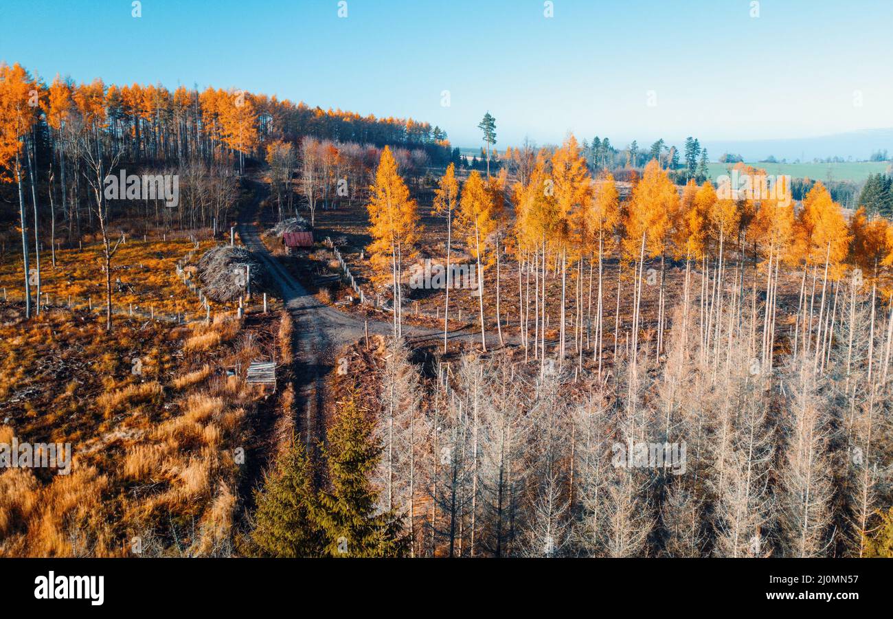Vue aérienne de la campagne d'automne, paysage d'automne traditionnel en Europe centrale Banque D'Images