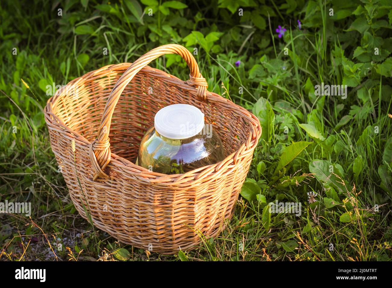 Panier en osier avec bouteille vide sur fond de nature. Banque D'Images