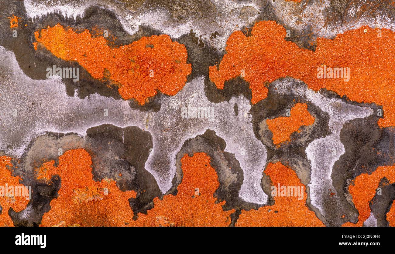 Arrière-plan de gros plan vue abstraite d'un mur en plâtre avec peinture hicpping et décoloration en orange et gris Banque D'Images