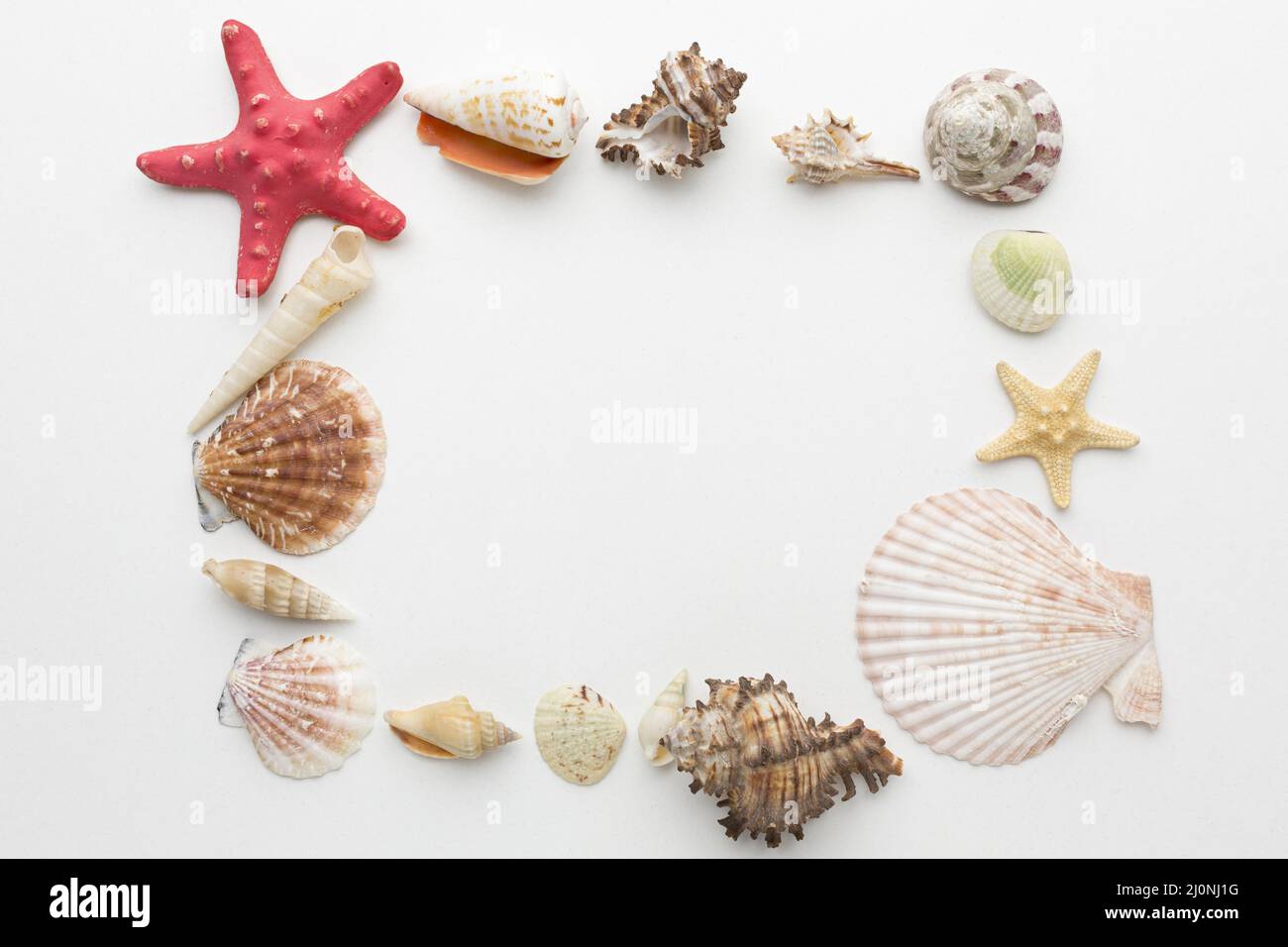 Concept de cadre des coques de la vue de dessus. Haute qualité et résolution magnifique concept de photo Banque D'Images