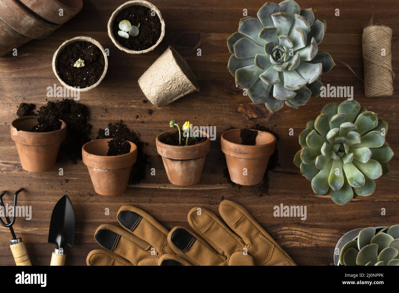 Pots de fleurs avec vue sur le dessus. Haute qualité et résolution magnifique concept de photo Banque D'Images