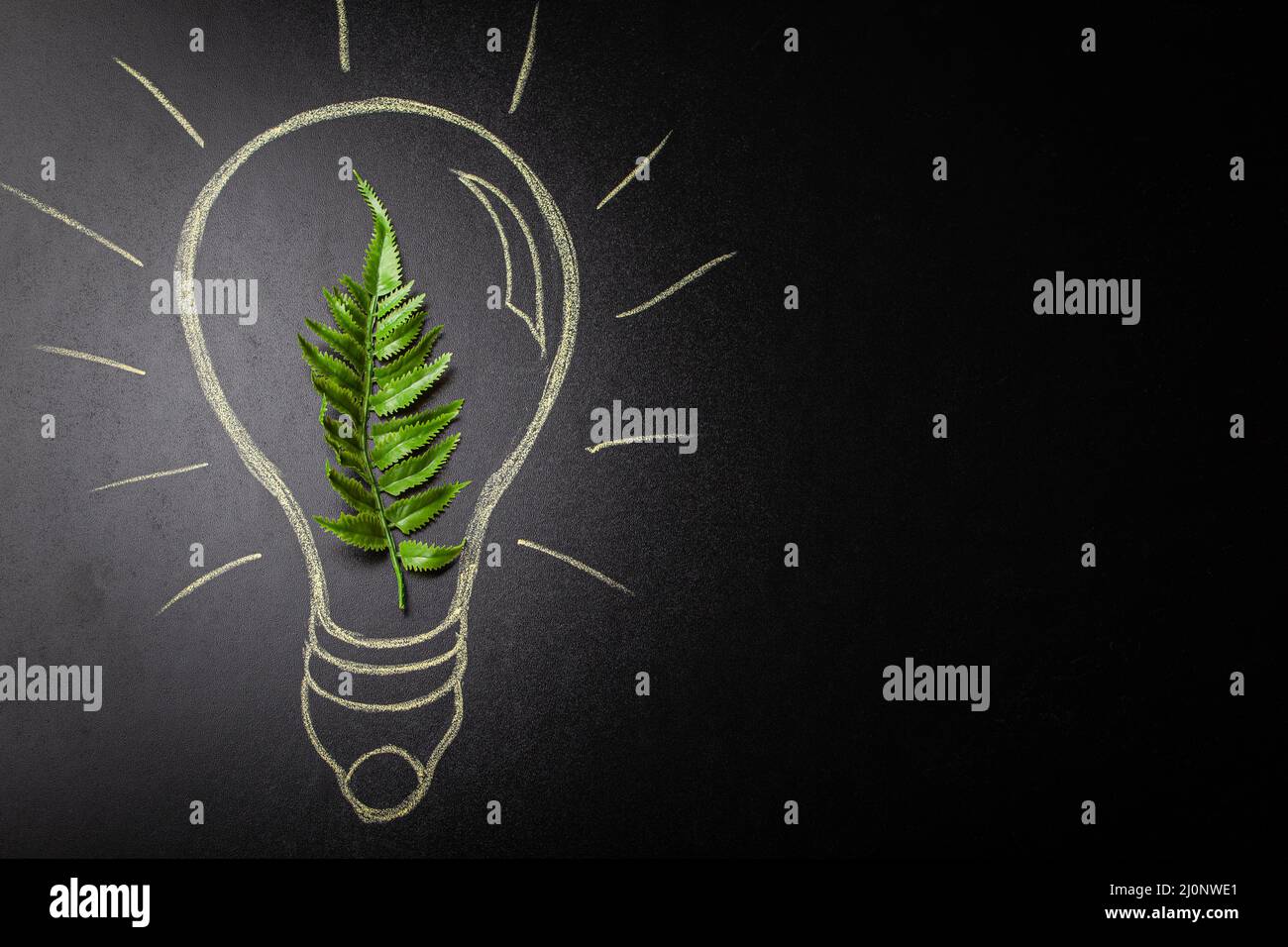 Feuille verte à l'intérieur de l'ampoule dessinée à la main sur l'espace de copie du tableau noir Banque D'Images