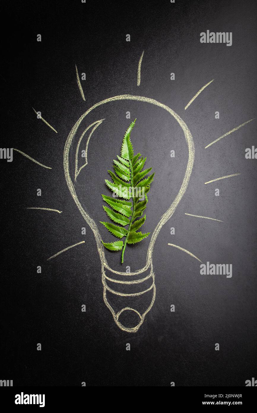 Feuille verte à l'intérieur de l'ampoule dessinée à la main sur un tableau noir Banque D'Images