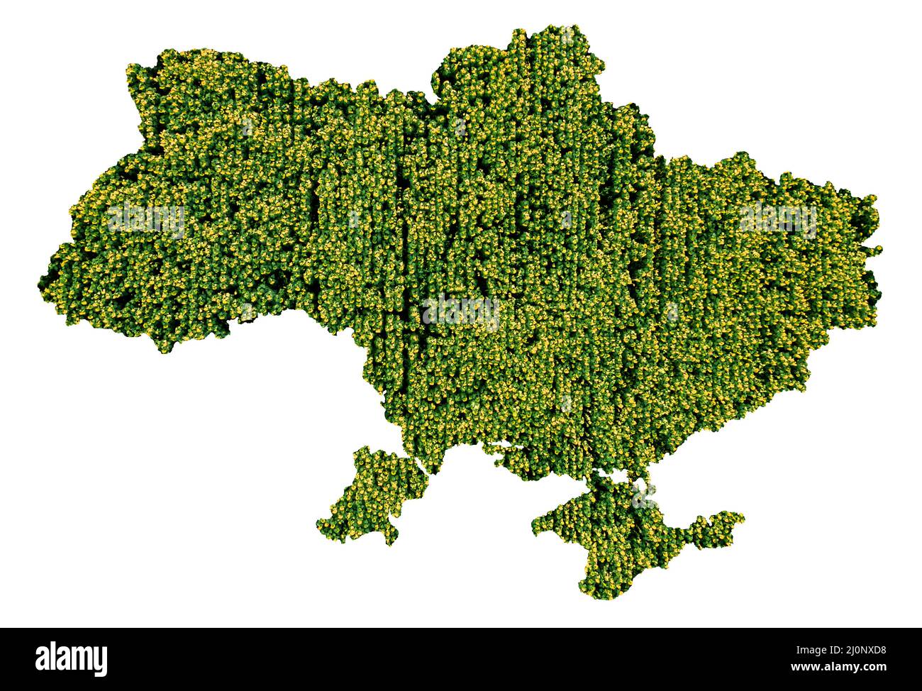Carte de l'Ukraine avec texture de champ de tournesol et couleurs de drapeau Banque D'Images