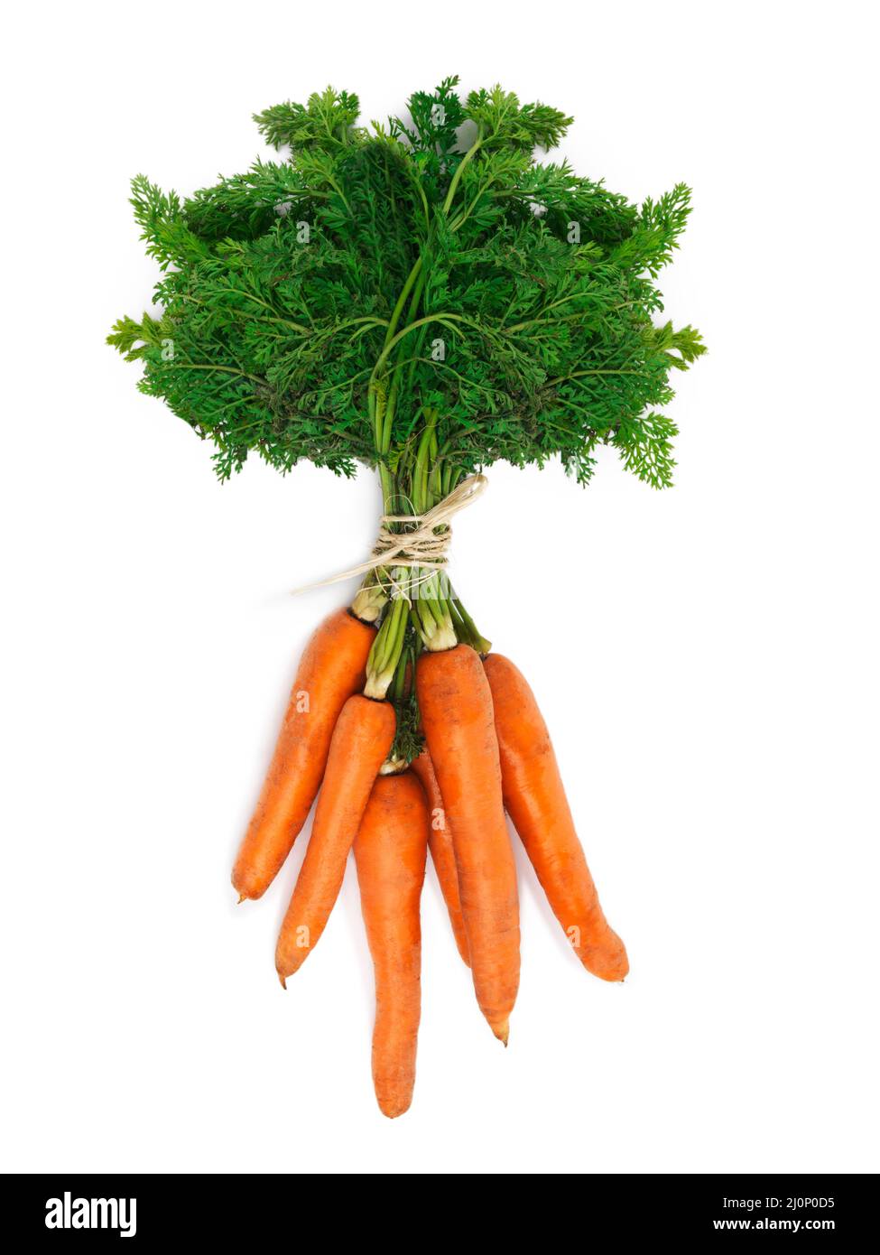Whats up Doc. Photo en grand angle d'un tas de carottes sur fond blanc. Banque D'Images