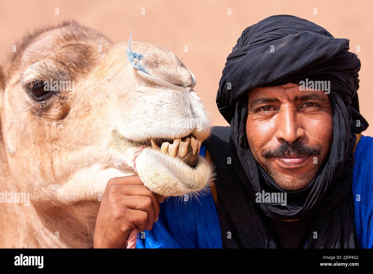 Berber hommes avec son chameau dans un désert près du village de mhamid au maroc Banque D'Images