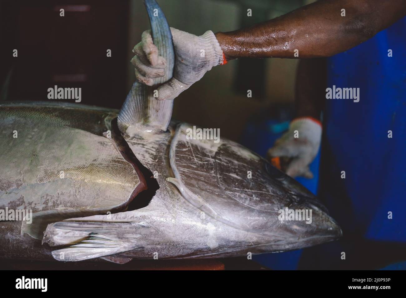 Pêcheur maldivien local boucher un gros poisson de thon sur le marché central de Malé ville Banque D'Images