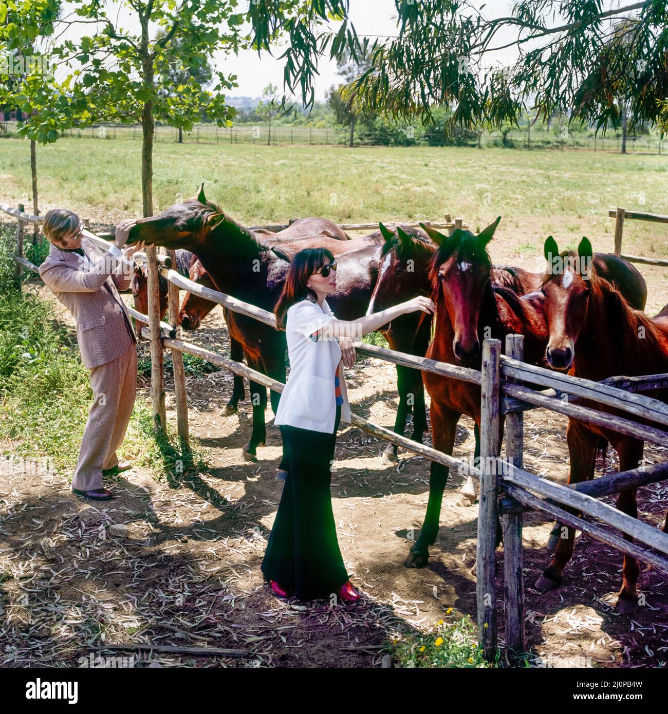 Vintage Italie 1970s, élégant couple d'âge moyen visite l'élevage de chevaux, la campagne romaine ranch, Lazio, Europe, Banque D'Images