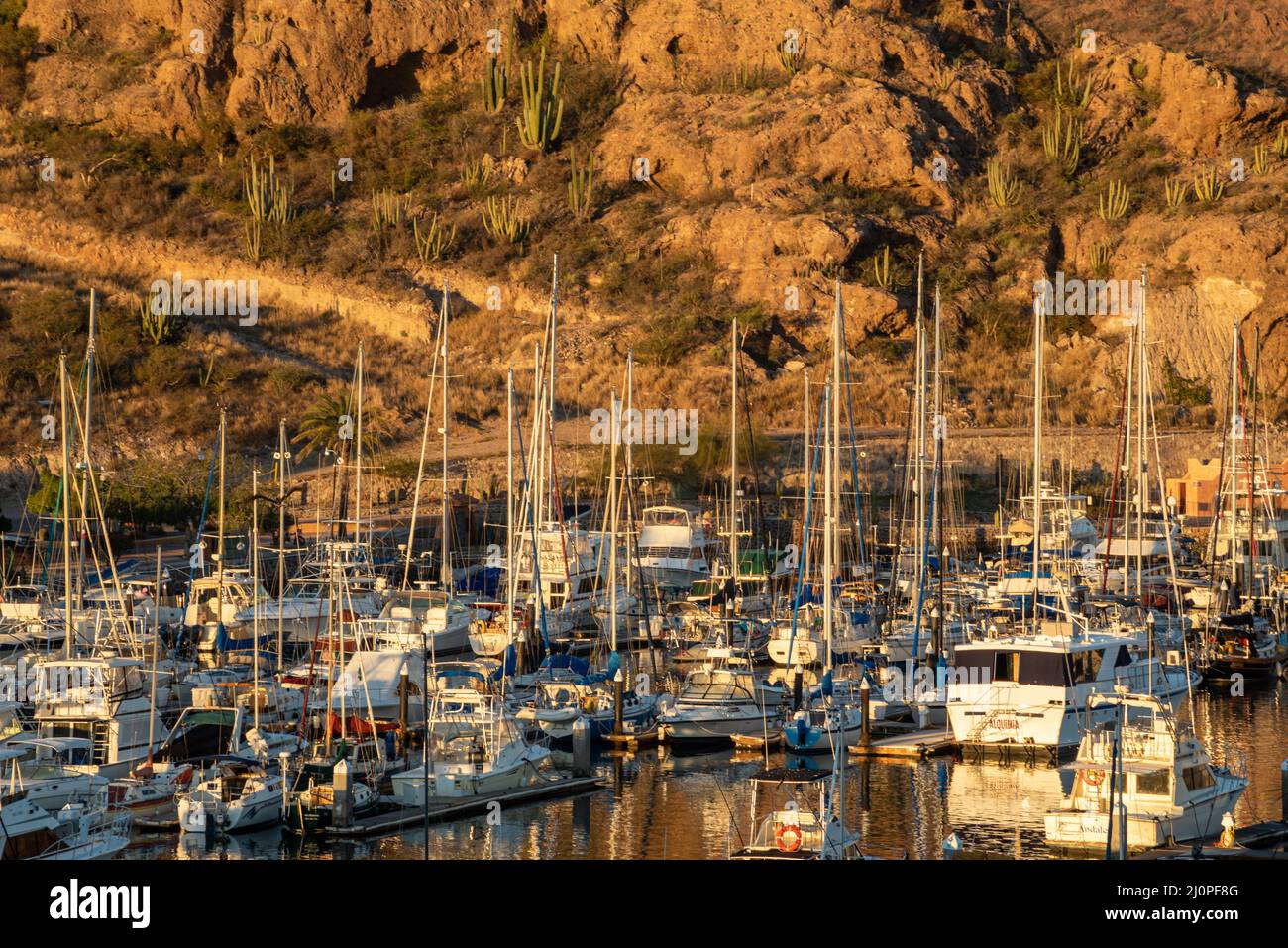 Lever du soleil à San Carlos Marina sur la mer de Cortez, grand et petit embarcation de plaisance, mâts de voiliers, montagnes accidentées, San Carlos, Sonora, Mexique. Banque D'Images