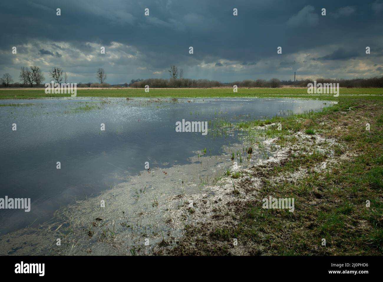 Eau de pluie sur la prairie et ciel nuageux, jour de printemps Banque D'Images