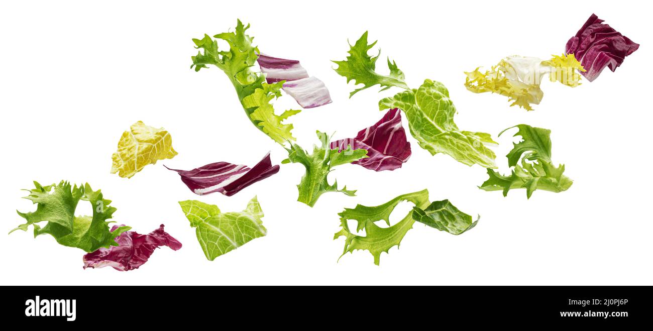 Ingrédients alimentaires sains, feuilles de salade tombant Banque D'Images