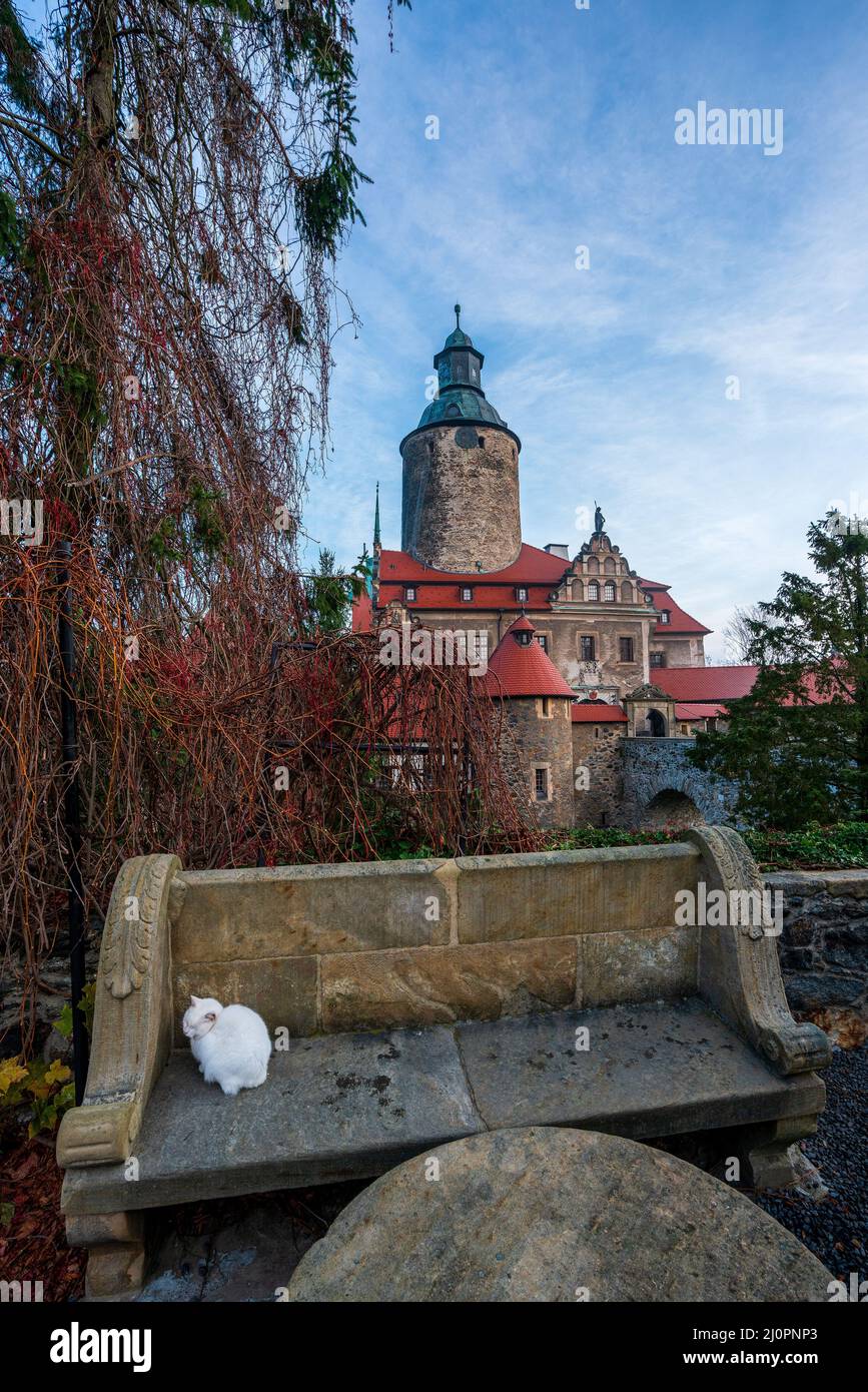 Chat blanc sur le banc en face du château Czocha Banque D'Images