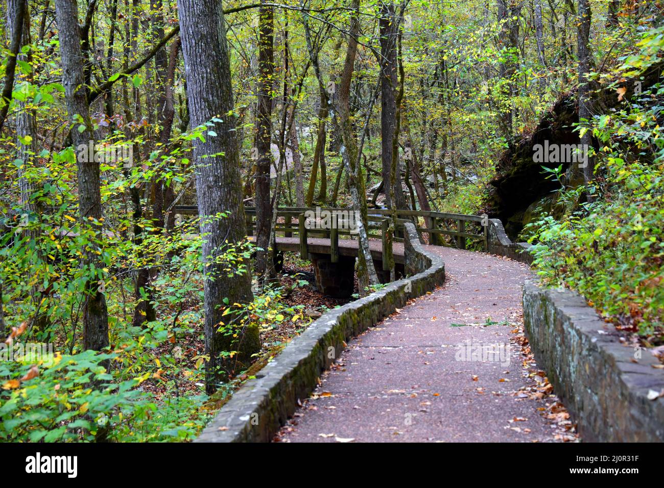 La trajectoire de torsion disparaît dans la distance. Un pont en bois couvre le lit de la crique. Path mène aux grottes de Blanchard Springs, près de Mountain View au nord Banque D'Images