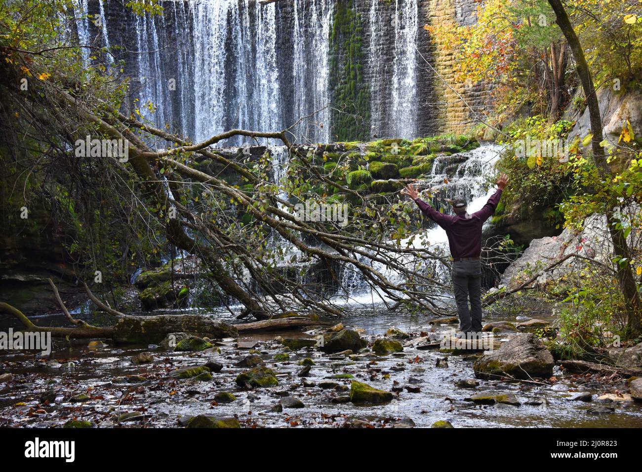 L'homme âgé se tient à la base de la chute d'eau de Mirror Lake et lève ses bras comme s'il s'y embrasse la belle région. Il a sur le pantalon gris et le shir pourpre Banque D'Images